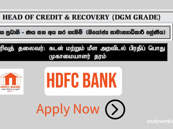 Head of Credit & Recovery HDFC Bank Job Vacancy 2024