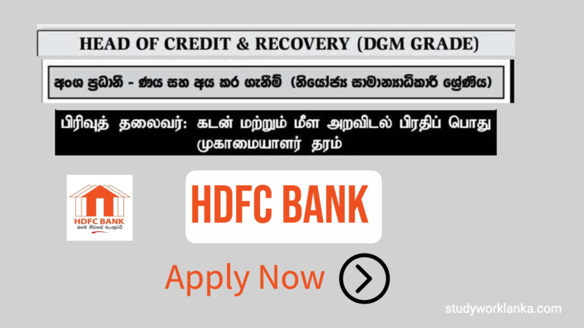 Head of Credit & Recovery HDFC Bank Job Vacancy 2024